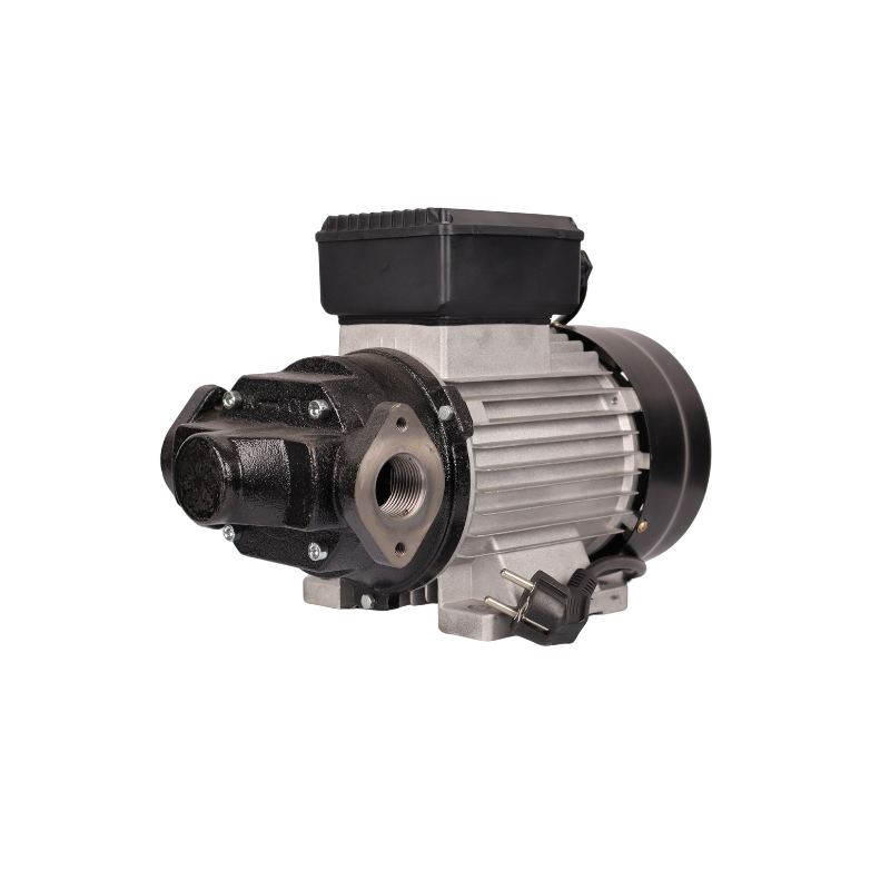 DTP-110 220V Fuel Transfer Pump for sale in South Africa - SME Warehousing Solutions